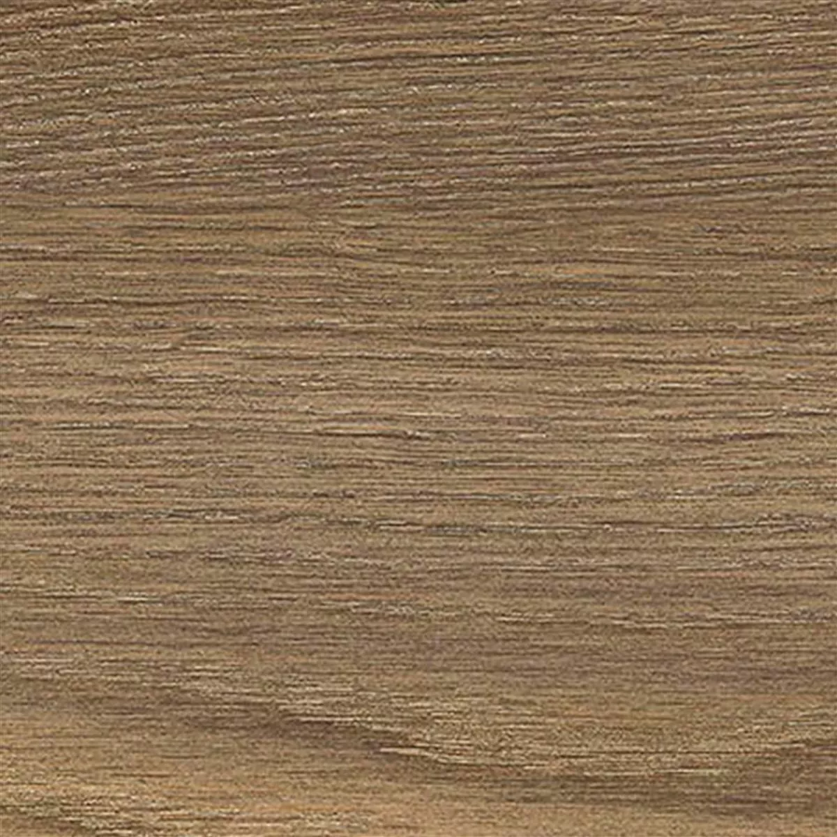 Podlahová Dlaždice Regina Dřevěný Vzhled 20x120cm Natural