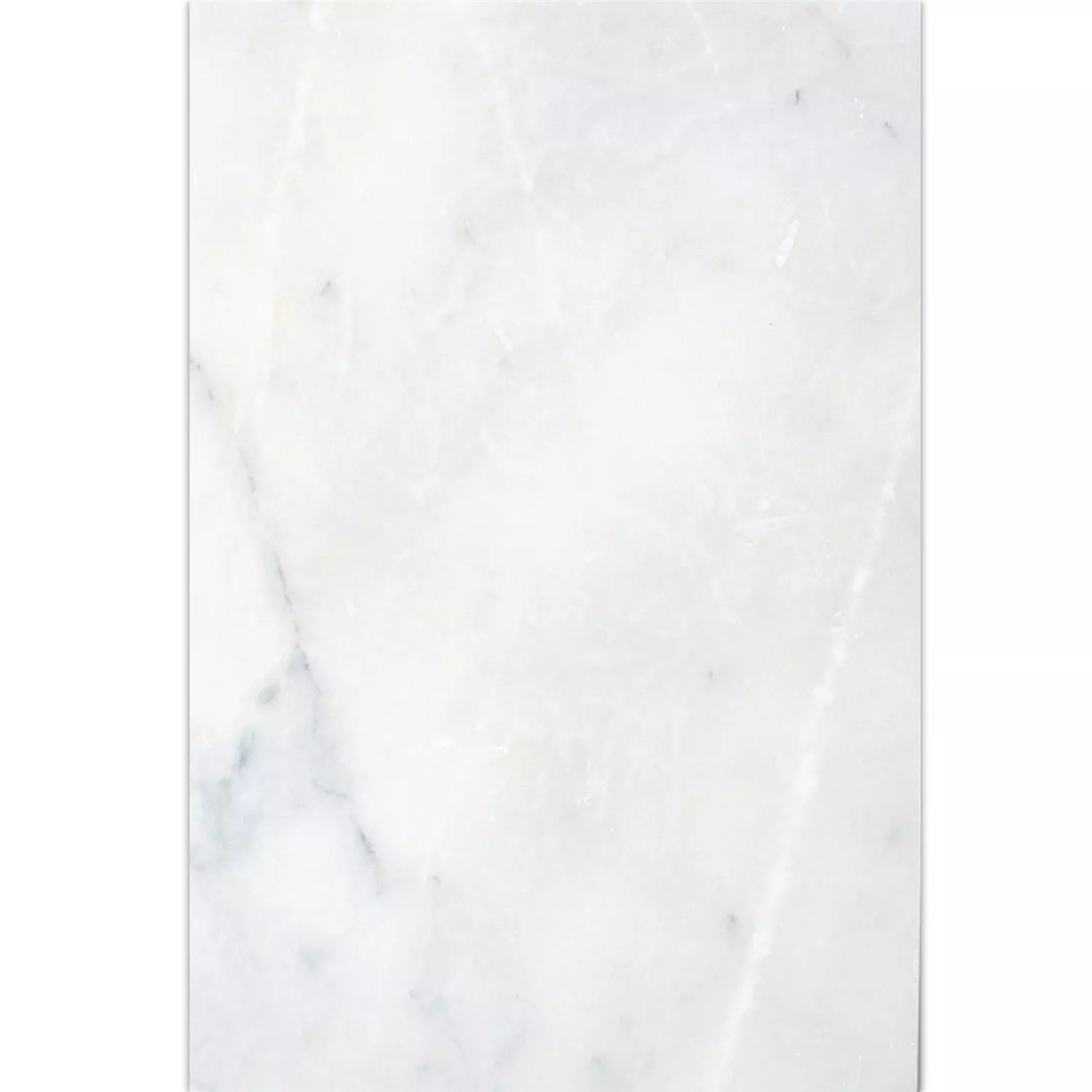 Dlaždice Z Přírodního Kamene Mramor Treviso Bílá 40,6x61cm