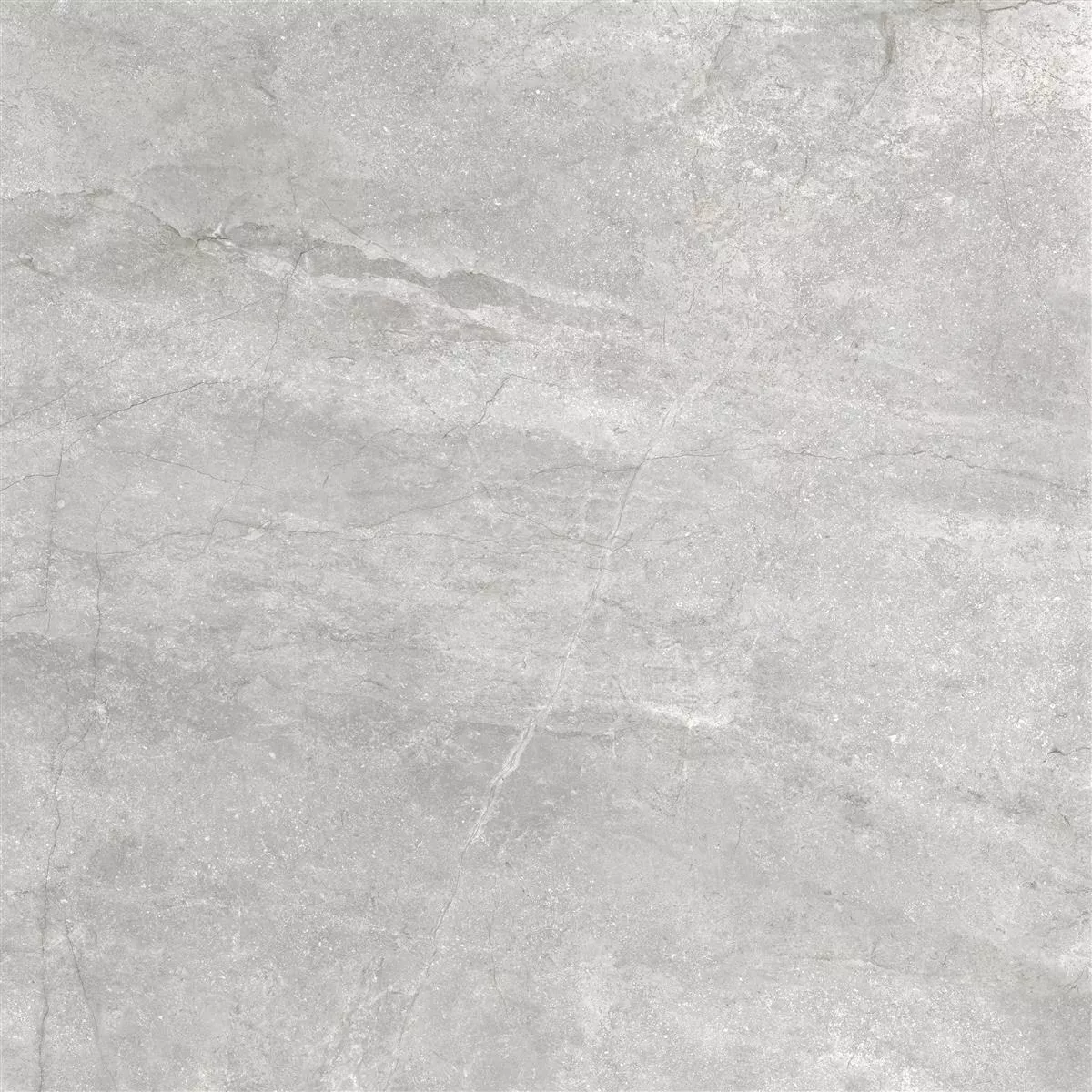 Vzorek Podlahové Dlaždice Pangea Mramorový Vzhled Matný Stříbrná 120x120cm