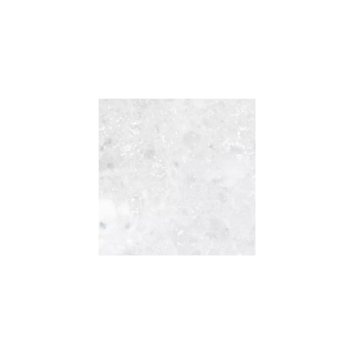 Vzorek Dlaždice Z Přírodního Kamene Mramor Treviso Bílá 30,5x30,5cm