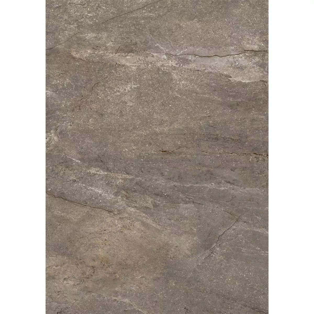 Podlahové Dlaždice Pangea Mramorový Vzhled Matný Mokka 60x120cm
