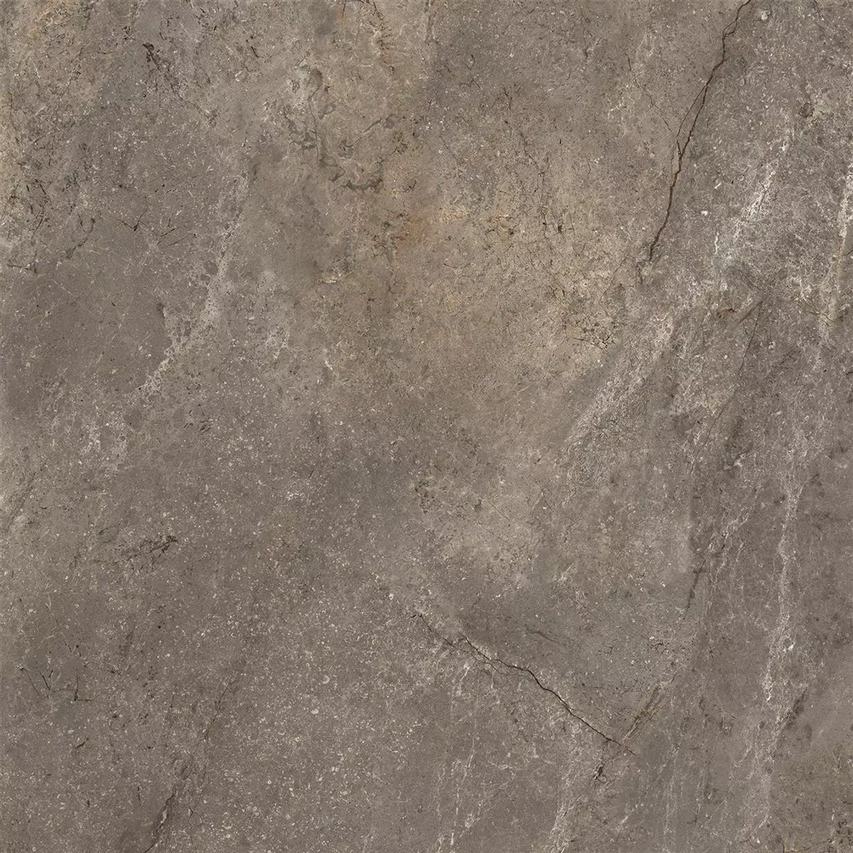 Podlahová Dlaždice Noiron Matný Leštěná Mocca 60x60cm