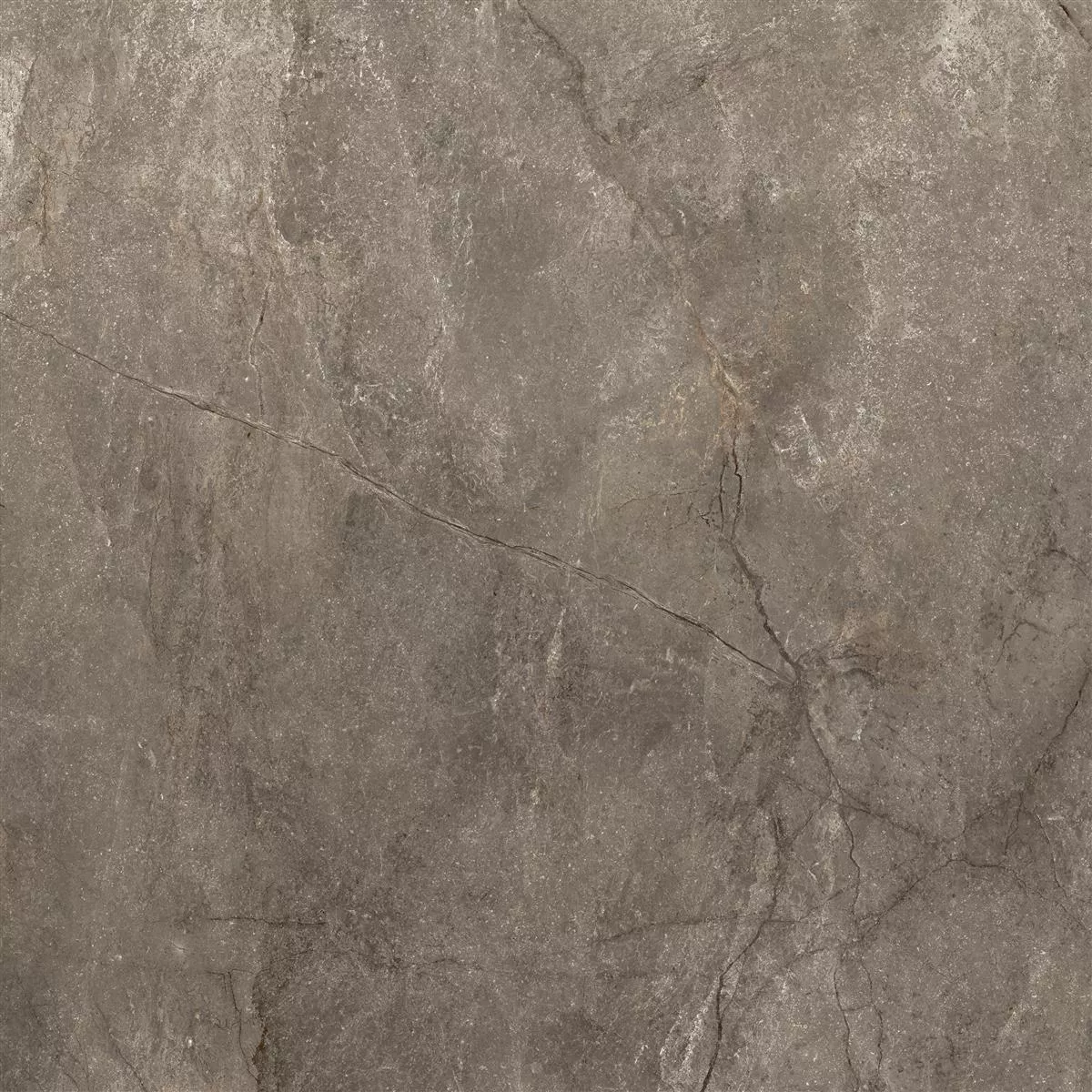 Vzorek Podlahové Dlaždice Pangea Mramorový Vzhled Matný Mokka 120x120cm