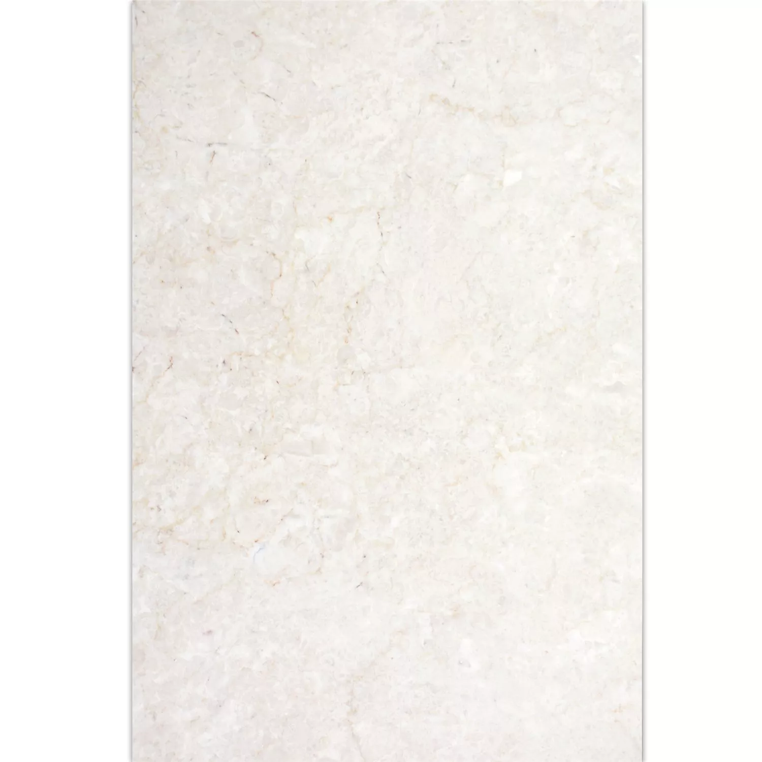 Dlaždice Z Přírodního Kamene Mramor Afyon Béžová 40,6x61cm