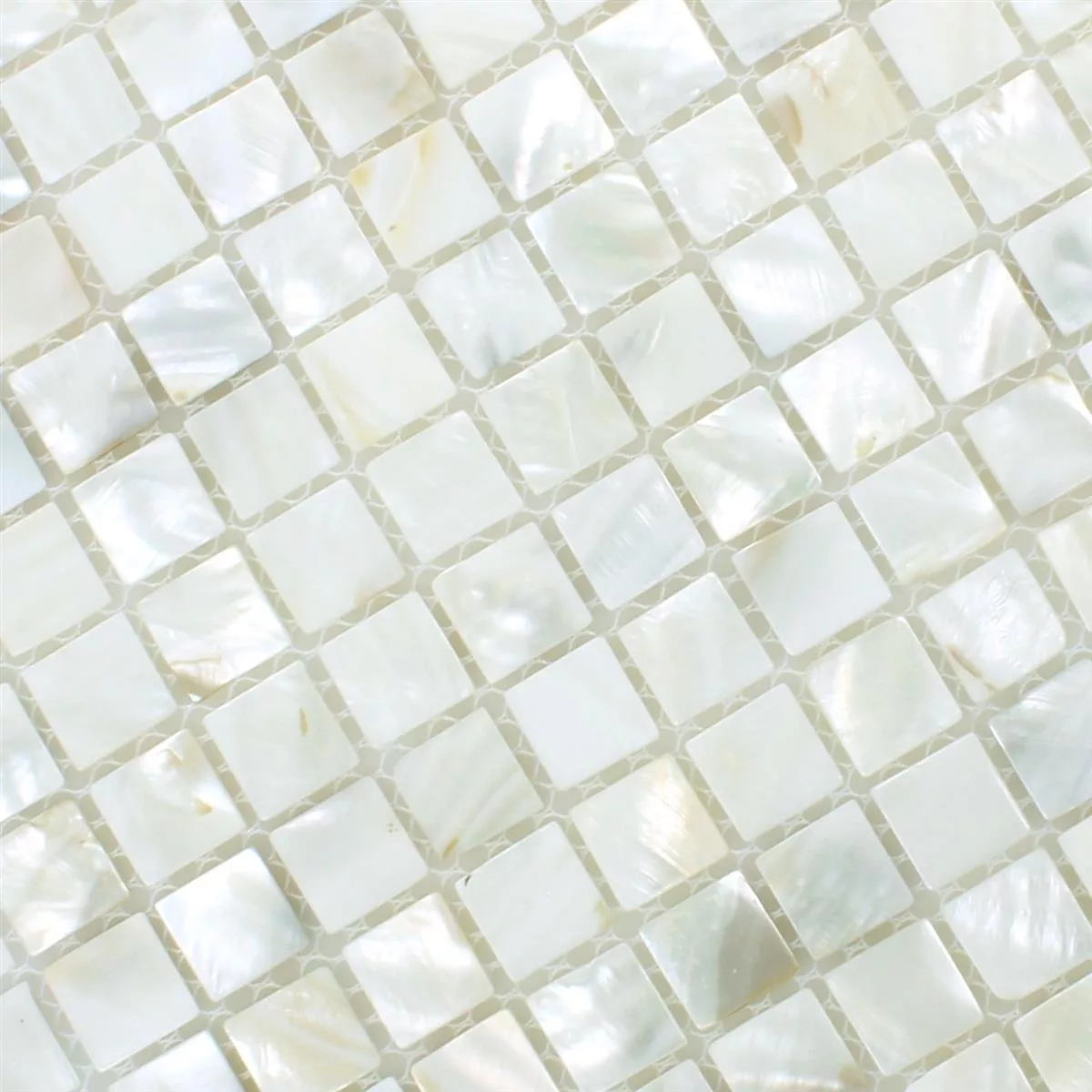 Mozaiková Dlaždice Lastura Kordon Bílá