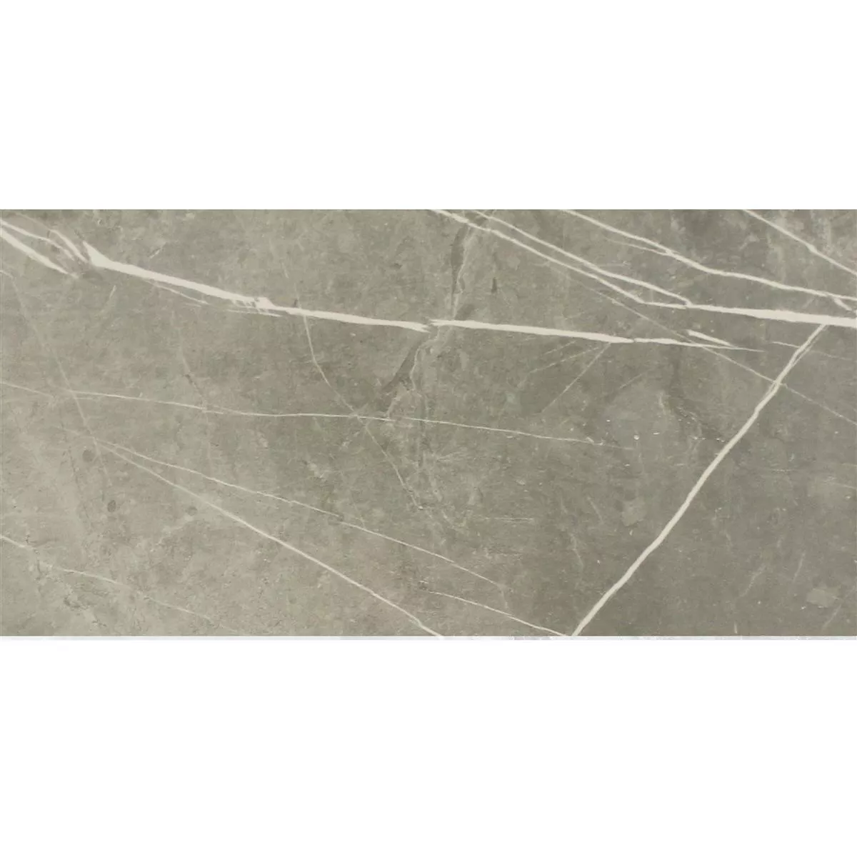 Vzorek Podlahové Dlaždice Astara Vzhled Přírodního Kamene Leštěná Grey 30x60cm