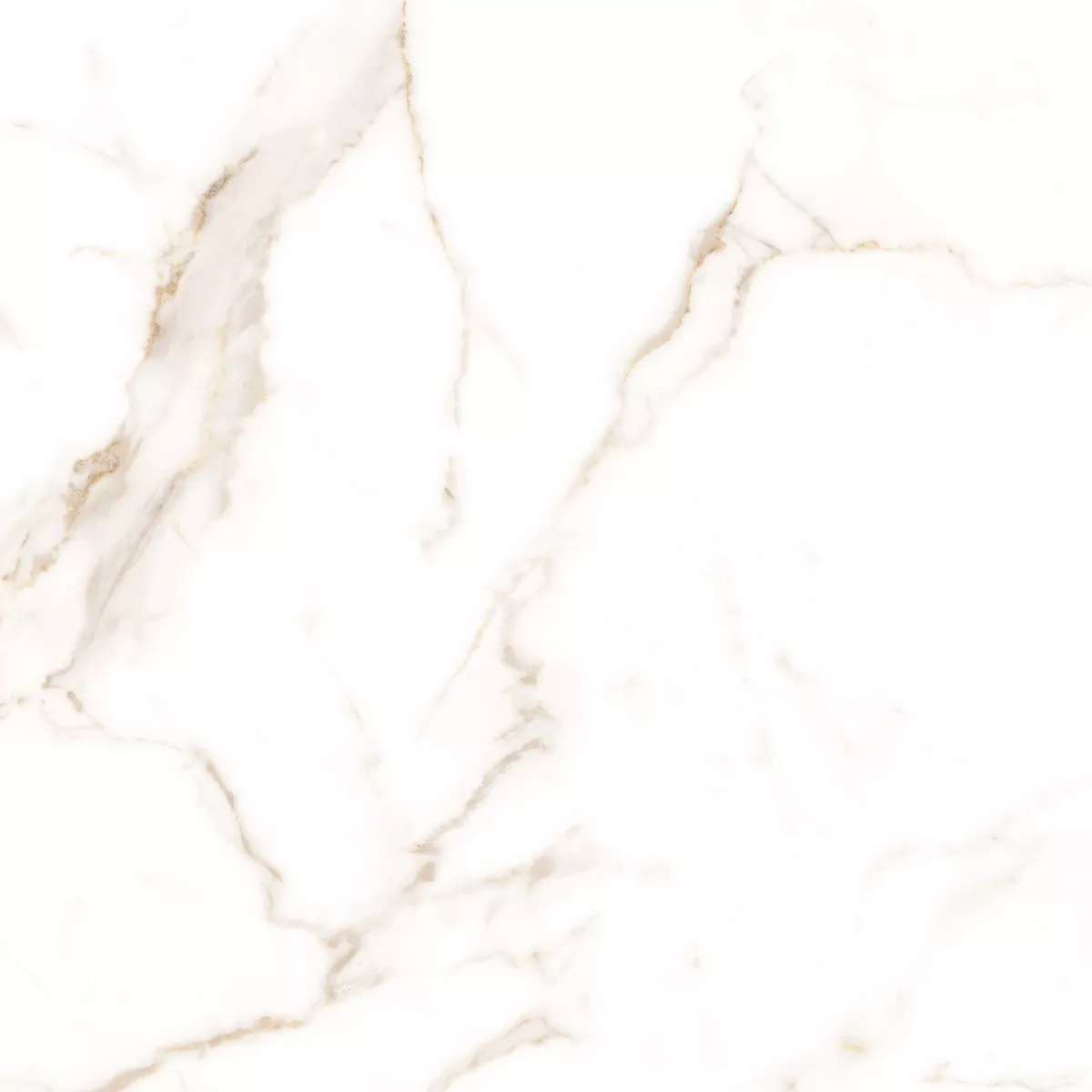 Epic Bílá Zlatá Matný 60x60 cm