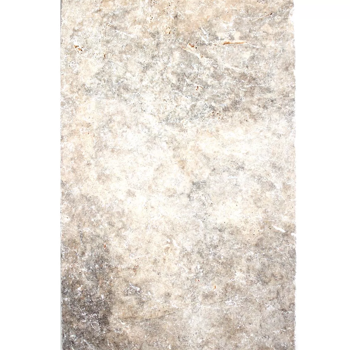 Dlaždice Z Přírodního Kamene Z Travertinu. Nestor Stříbrná 40,6x60cm
