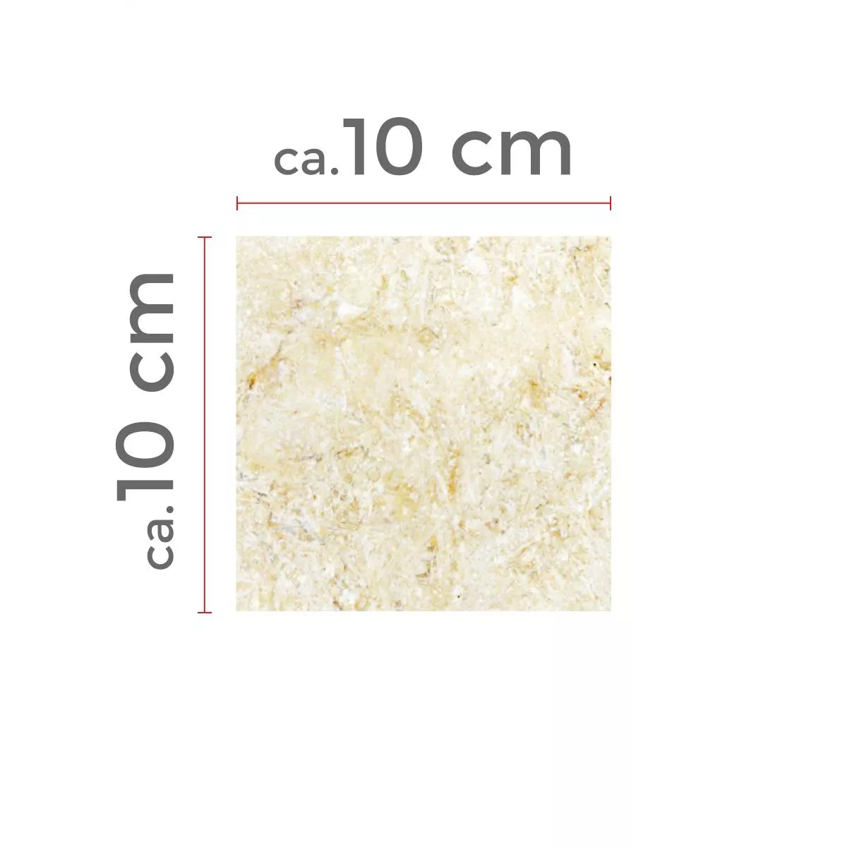 Vzorek Dlaždice Z Přírodního Kamene Vápenec Garbagna Béžová 10x10cm