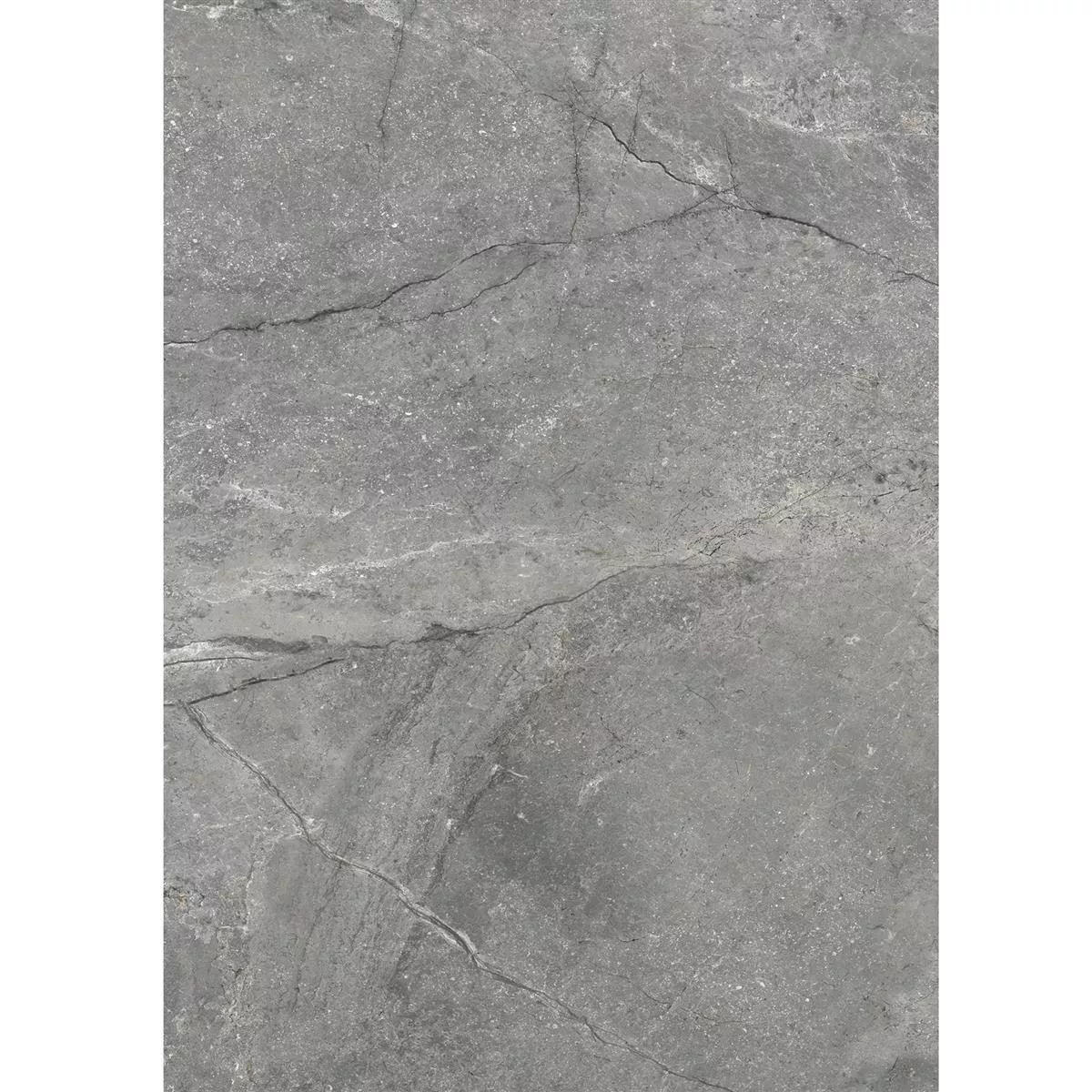 Vzorek Podlahové Dlaždice Pangea Mramorový Vzhled Matný Šedá 60x120cm