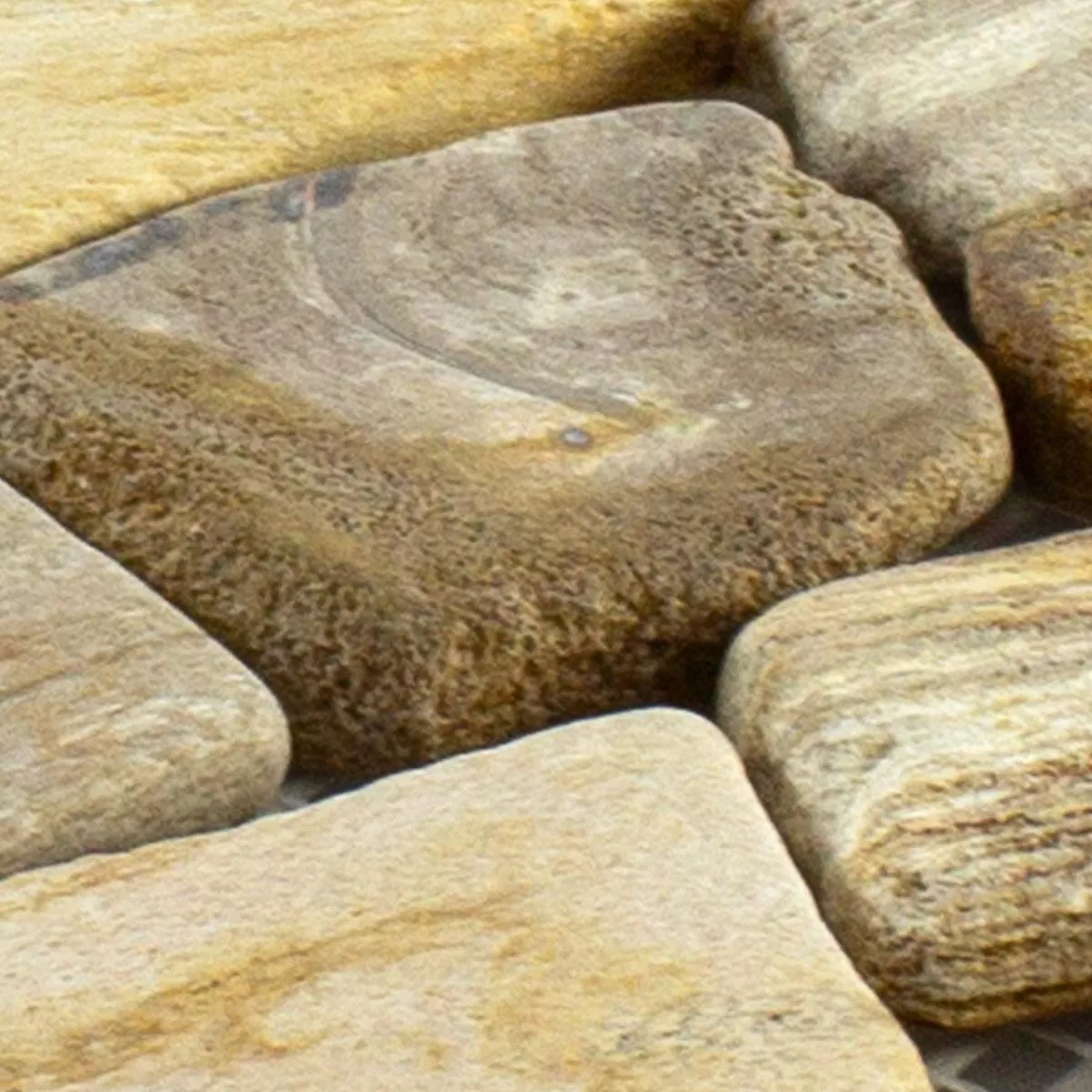 Vzorek Mramorové Úlomky Mozaiková Dlaždice Erdenet Hnědá Béžová