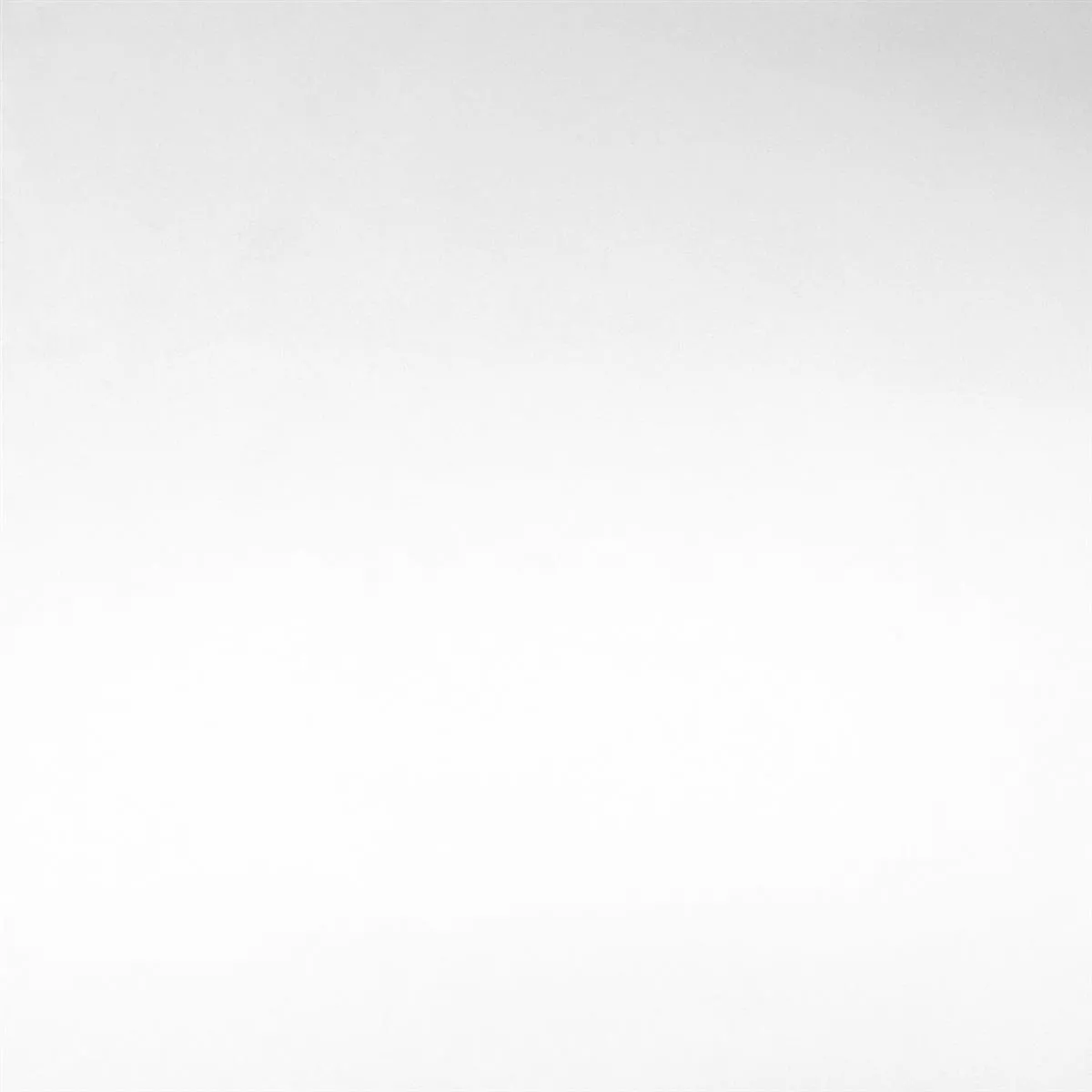 Vzorek Podlahové Dlaždice Majesta Bílá Uni Leštěná 60x60cm