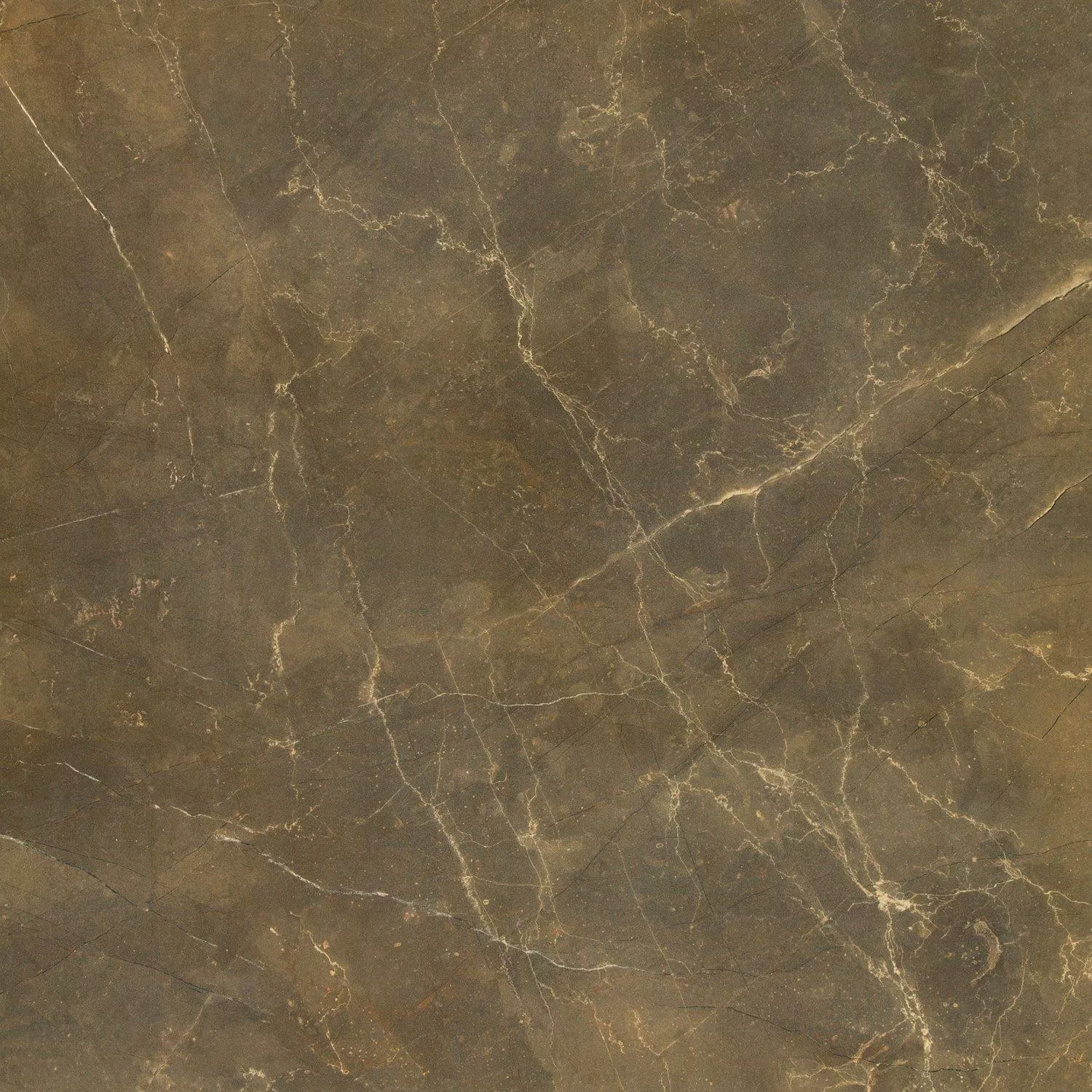 Podlahové Dlaždice Mramorový Vzhled Imperial Khaki 80x80cm Podlahové Dlaždice Mramorový Vzhled Imperial Khaki 80x80cm