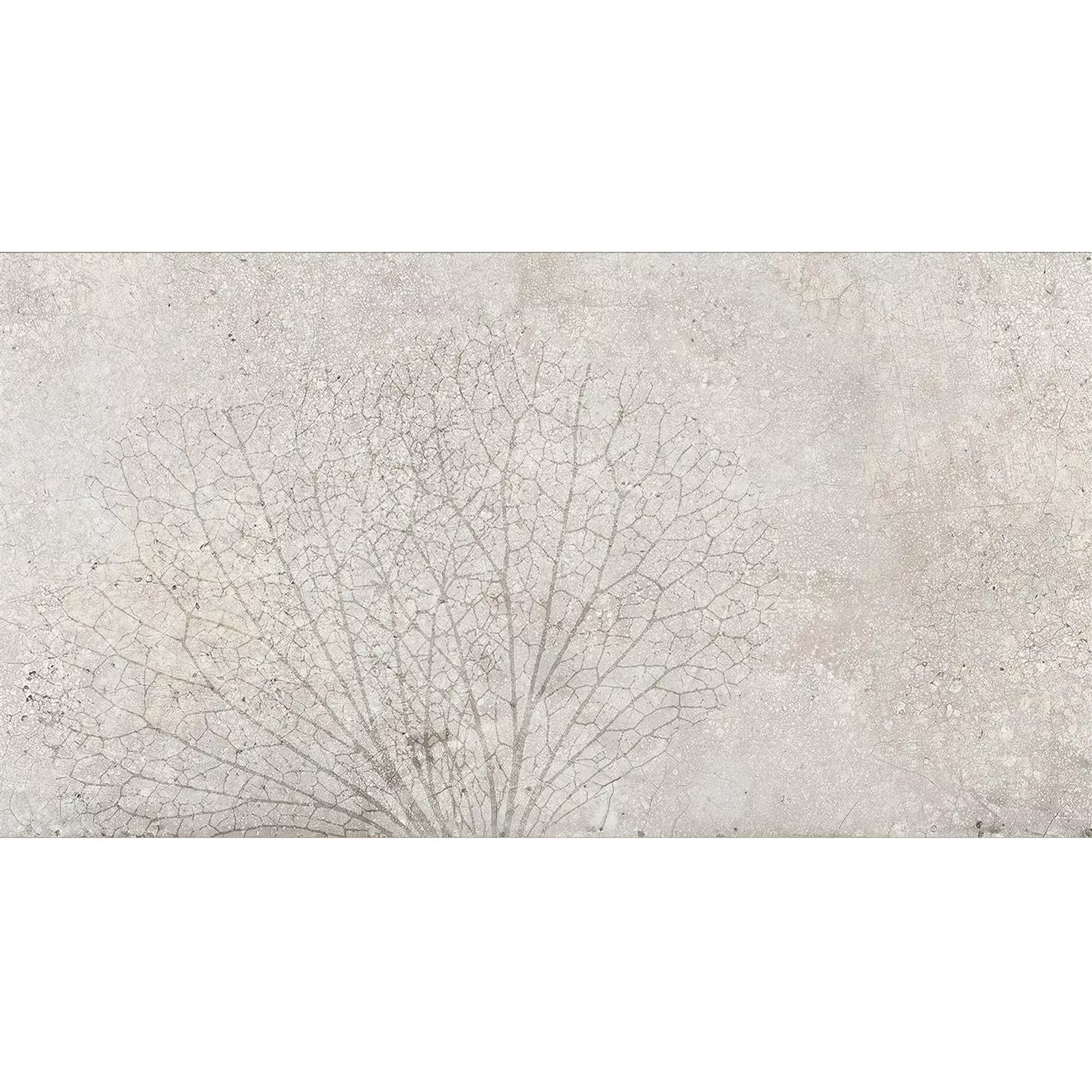 Nástěnné Obklady Attila Šedá Rektifikováné Dekor 1 30x60cm Nástěnné Obklady Attila Šedá Rektifikováné Dekor 1 30x60cm