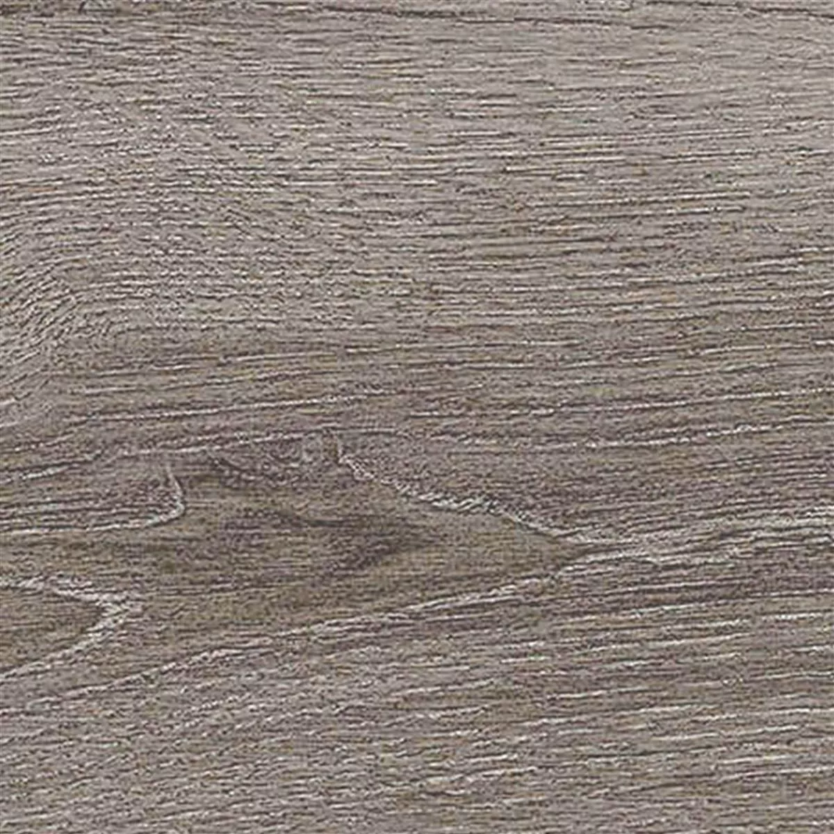 Podlahová Dlaždice Regina Dřevěný Vzhled 20x120cm Stříbrná