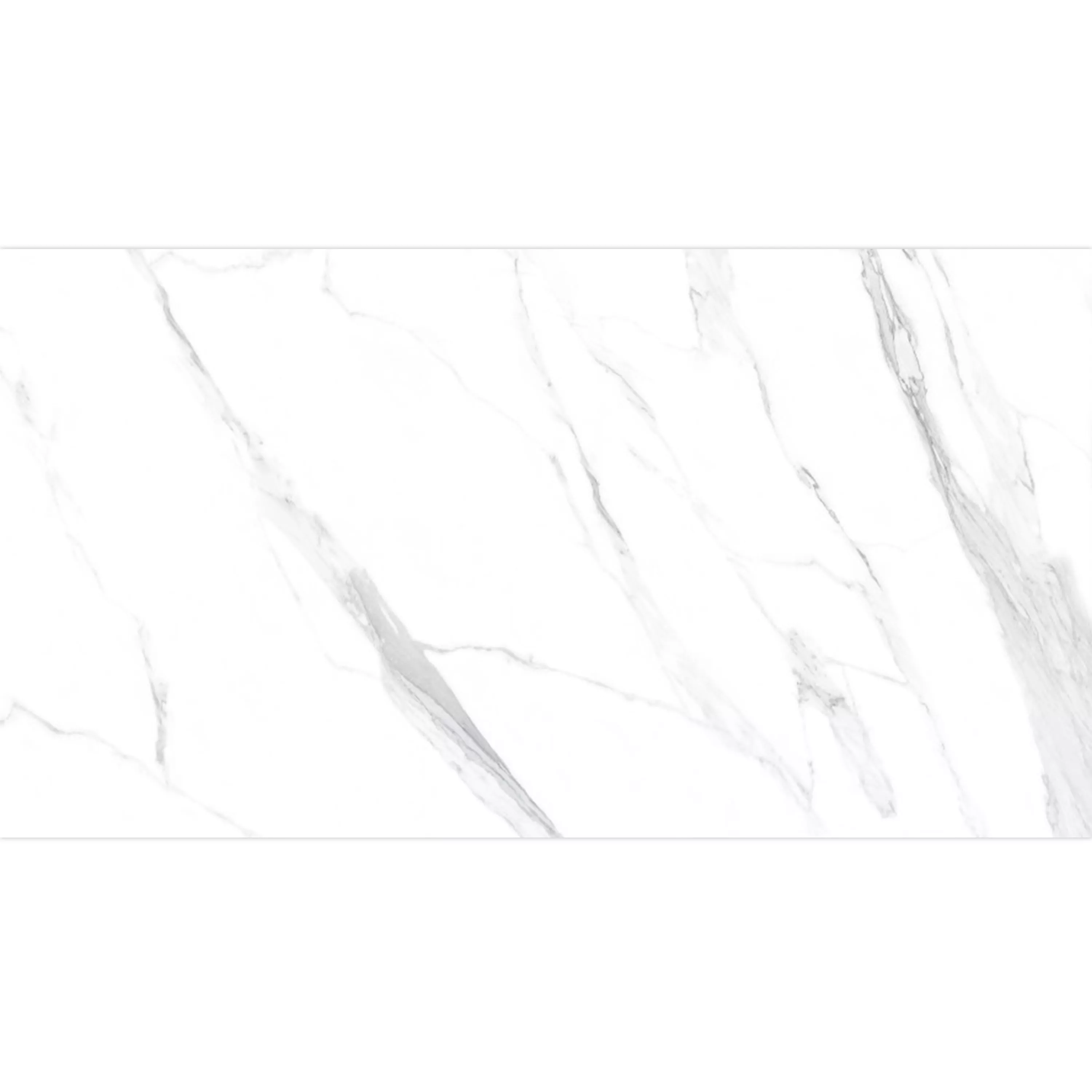Vzorek Podlahové Dlaždice Louisburg Statuario Bílá Matný Rektifikováné 30x60cm