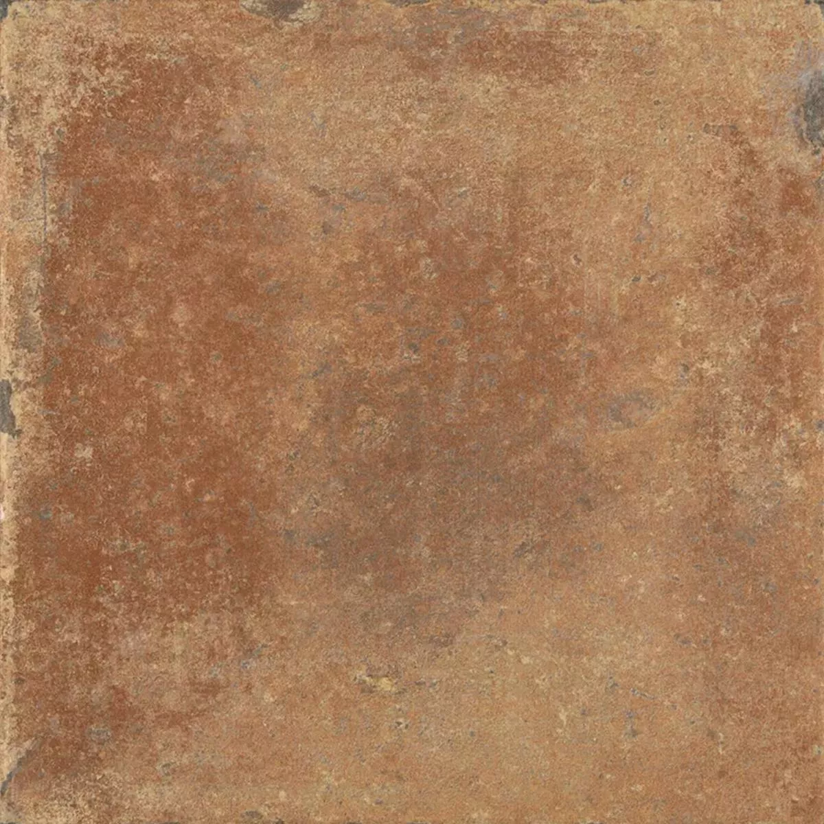 Queens Terakota Tmavě Hnědá. 25x25 cm